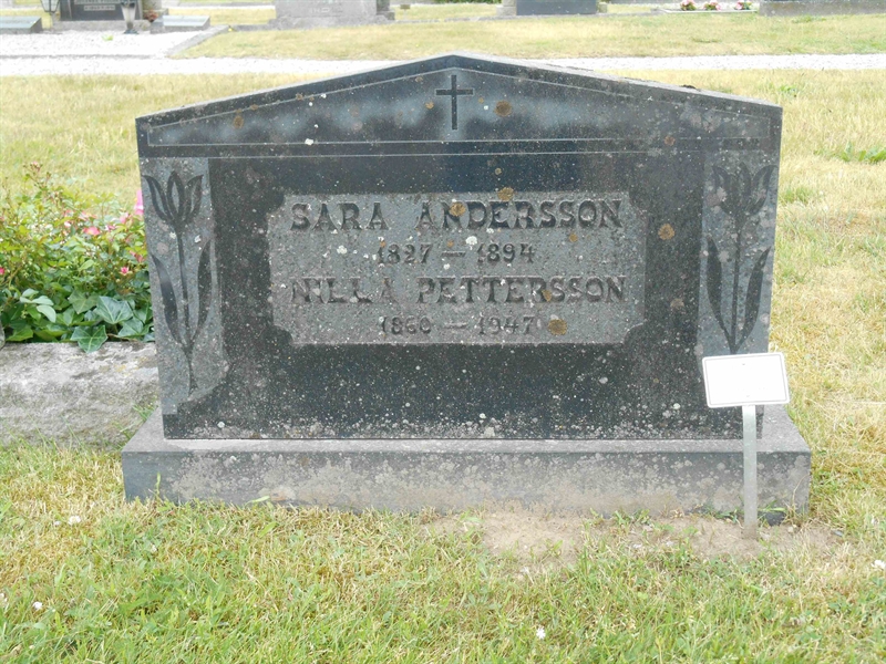 Grave number: VM C   144