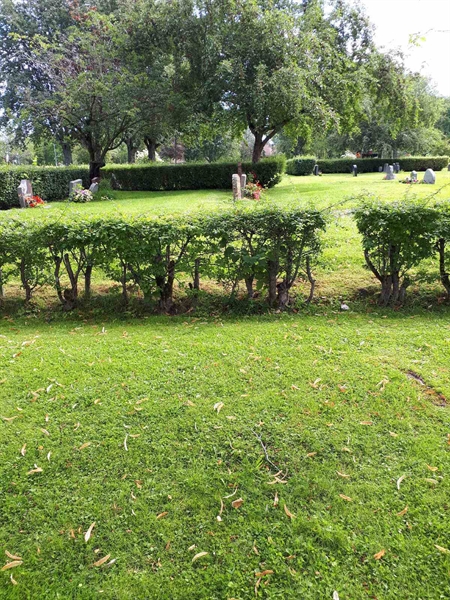 Gravnummer: GK F 4   333