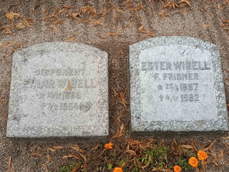 Grave number: SÖ 06   228-229