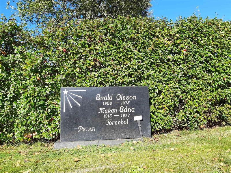 Hautatunnus: Fr 7    75-76