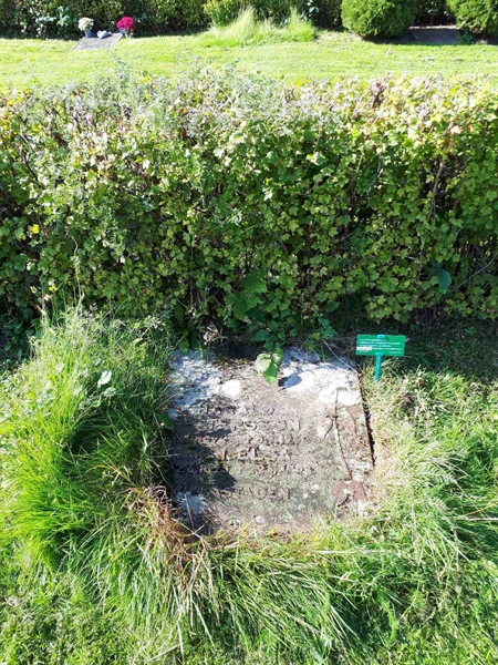 Hautatunnus: NK F G   244