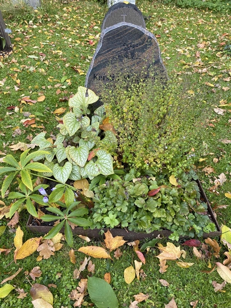 Hautatunnus: 1 H   274