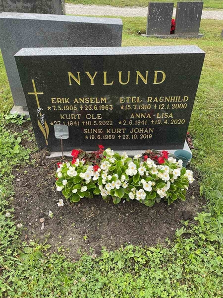 Grave number: N 4 4   515