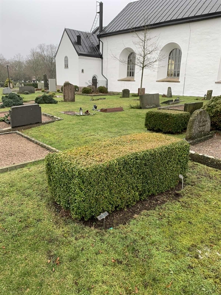 Grave number: SÖ B   100, 101