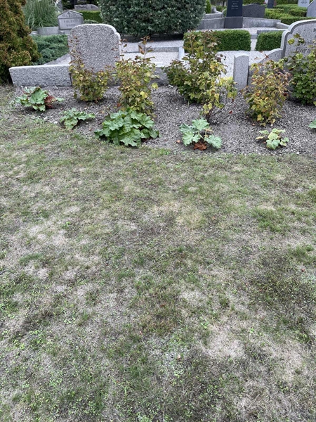 Grave number: VK I   170