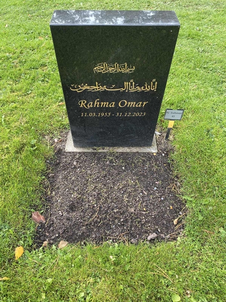 Hautatunnus: 2 G    83