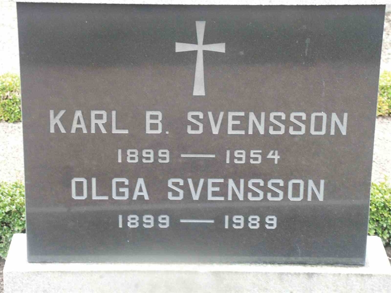 Grave number: KK NÖ C    50-51