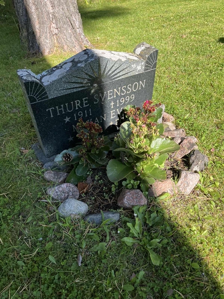 Grave number: 30ST TALL     2