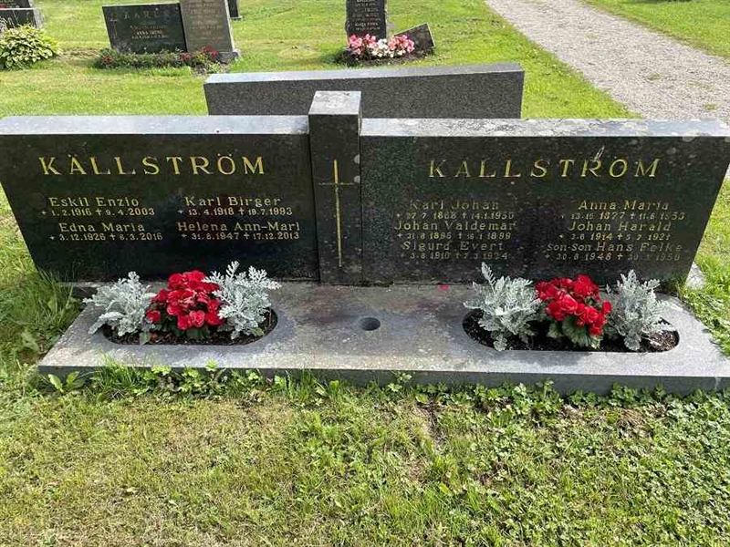 Grave number: N 4 1    49