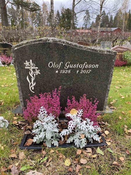 Grave number: 1 29     84