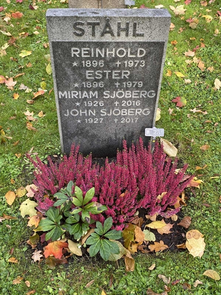 Hautatunnus: 1 H   221