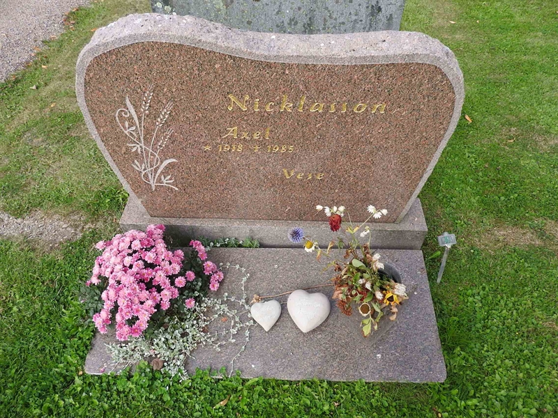 Hautatunnus: BRO 16    18