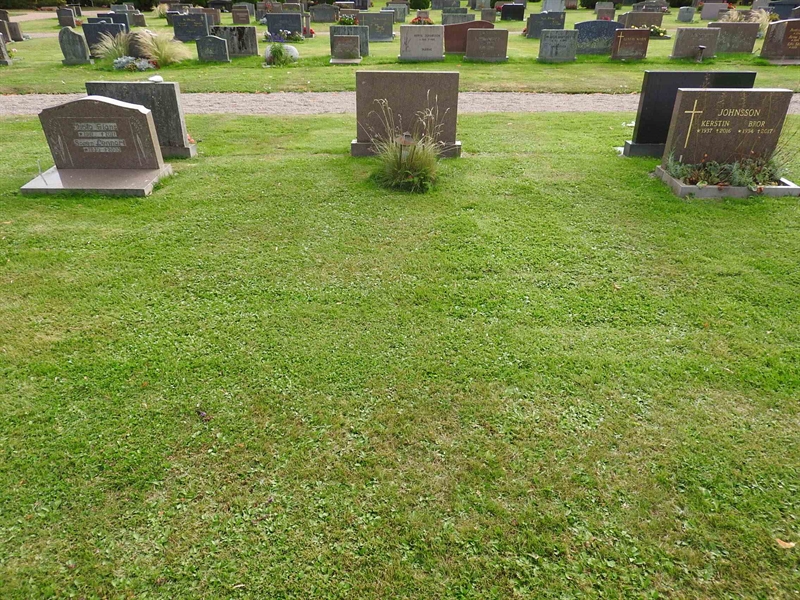 Hautatunnus: BRO 16    25