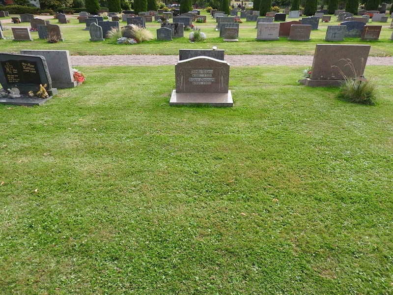 Hautatunnus: BRO 16    24