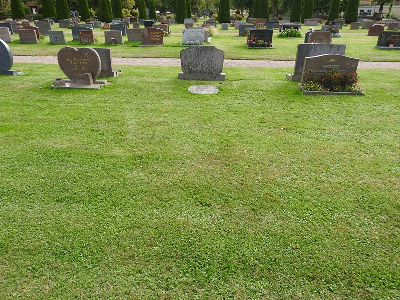 Hautatunnus: BRO 16    29