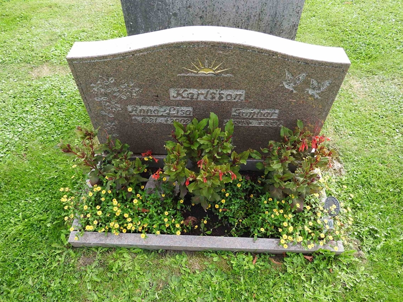 Hautatunnus: BRO 16    30