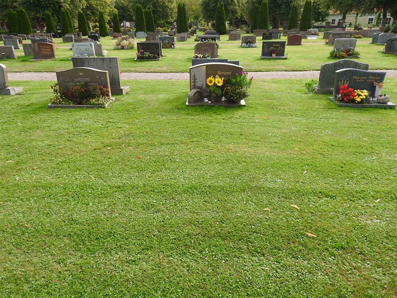 Hautatunnus: BRO 16    31