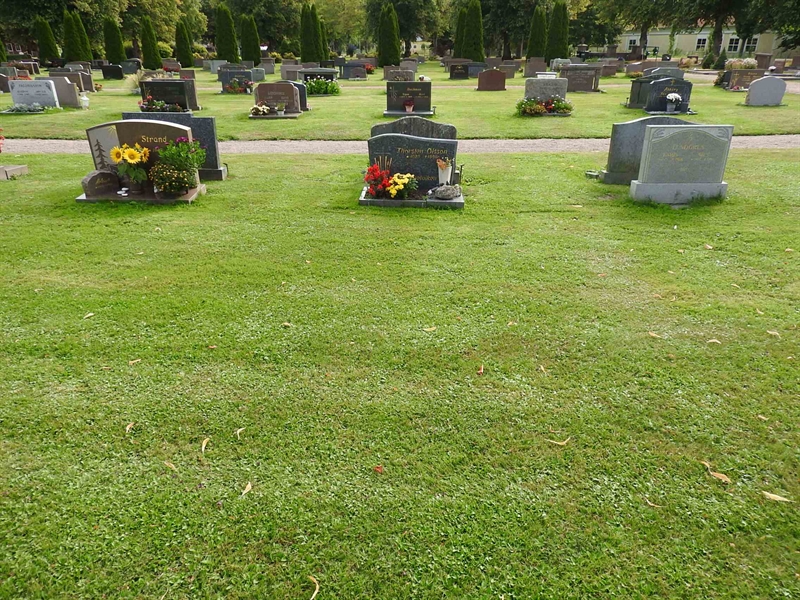 Hautatunnus: BRO 16    32