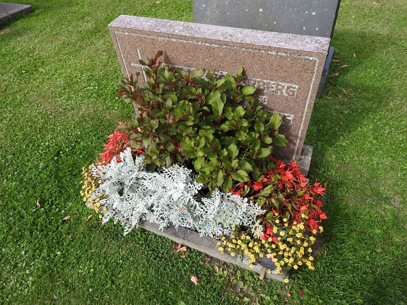 Hautatunnus: BRO 16     5