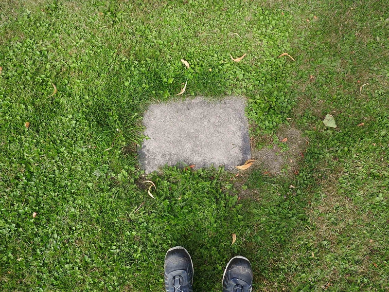 Hautatunnus: BRO 16    52