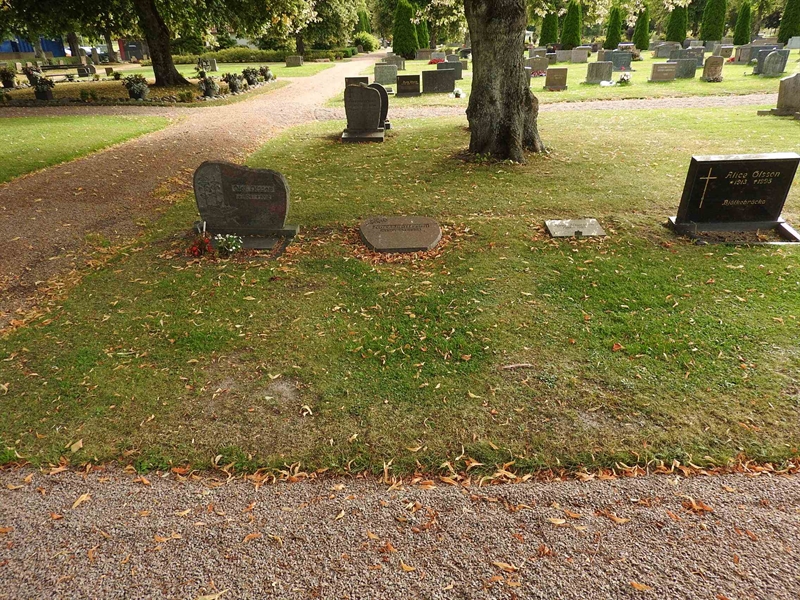 Hautatunnus: BRO 16    56