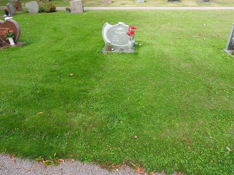 Gravnummer: BRO 20    11