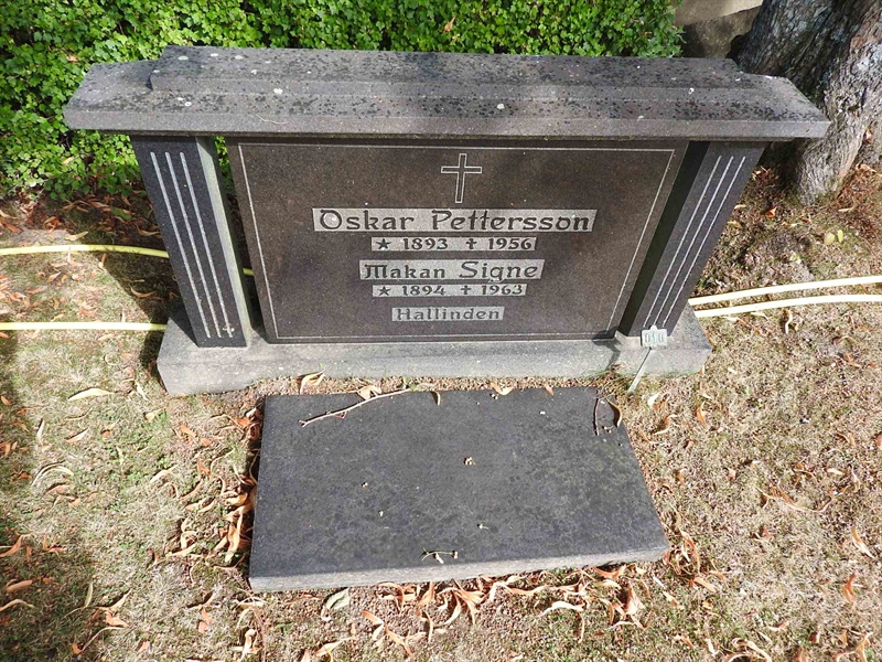 Hautatunnus: BRO 21    10