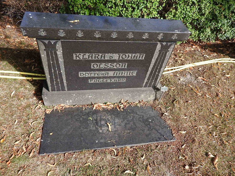 Hautatunnus: BRO 21    12