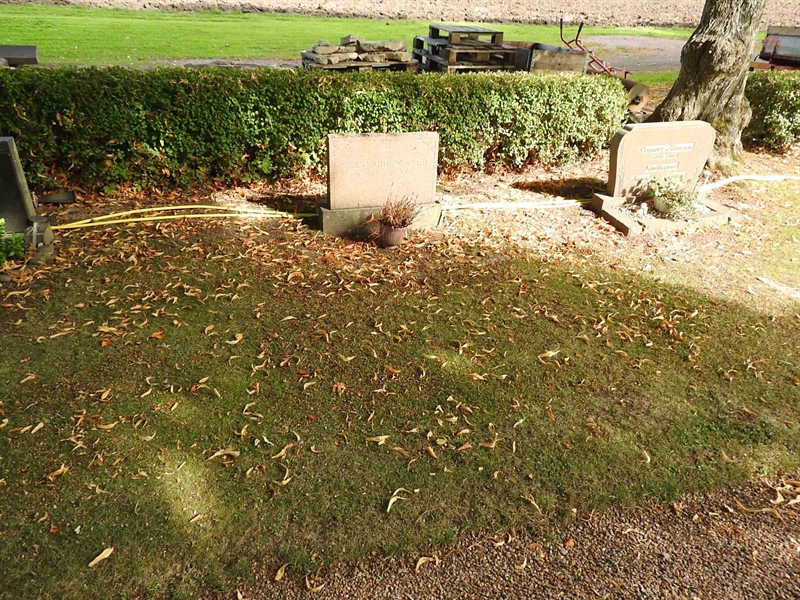 Hautatunnus: BRO 21    17