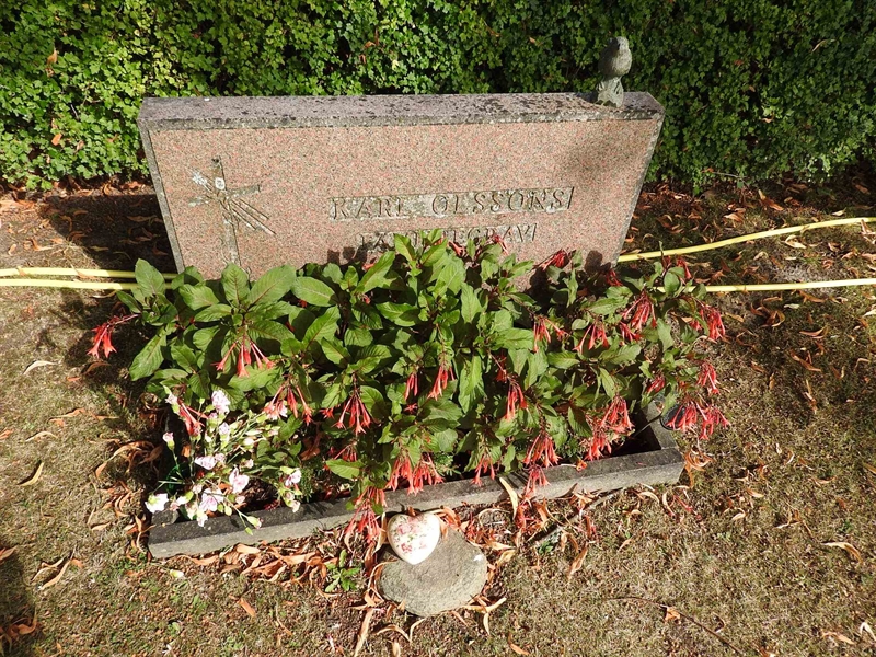 Hautatunnus: BRO 21    11