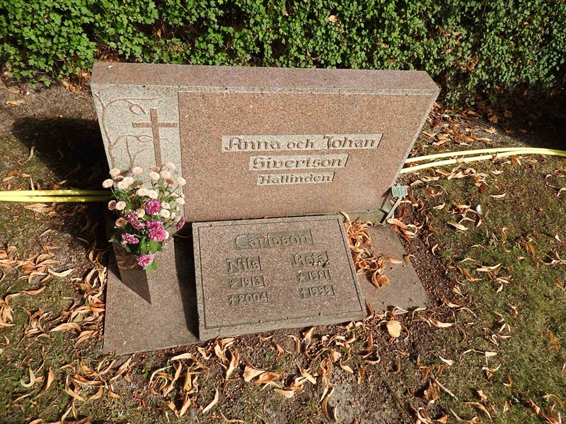 Hautatunnus: BRO 21    15