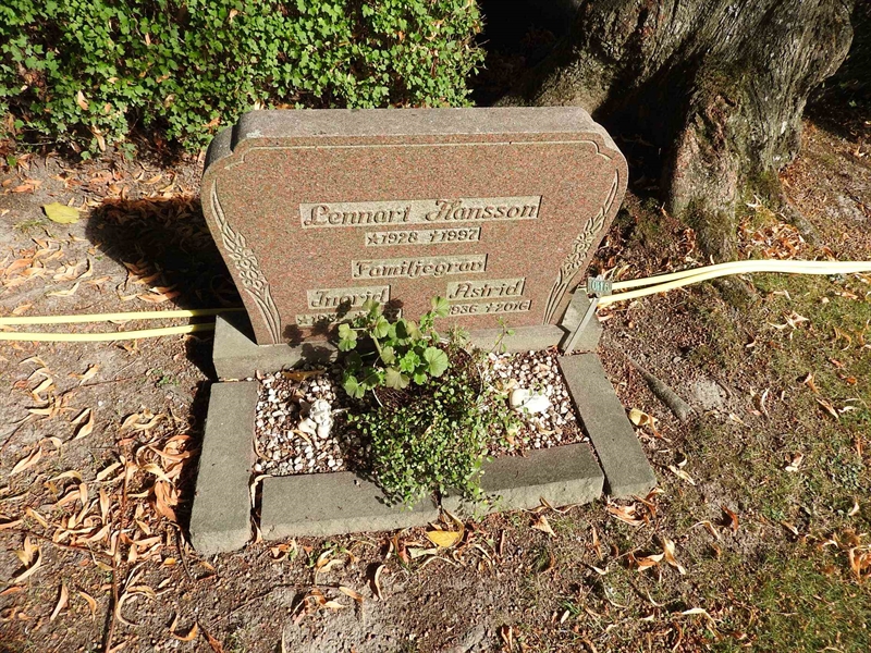 Gravnummer: BRO 21    16