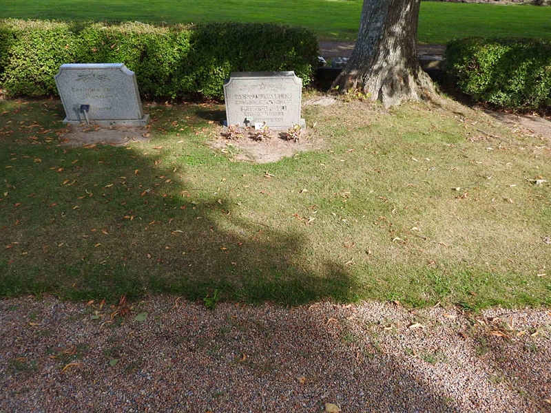 Hautatunnus: BRO 21    29