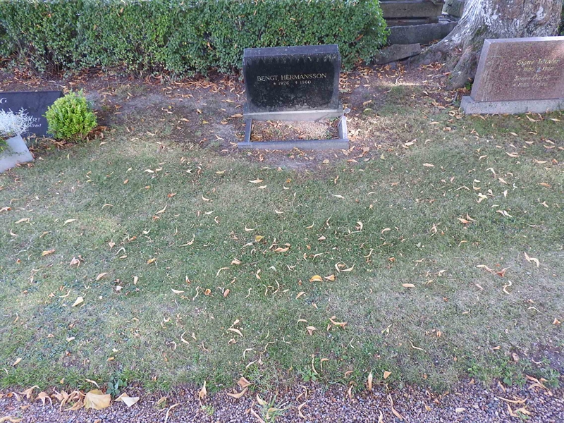 Hautatunnus: BRO 21    23