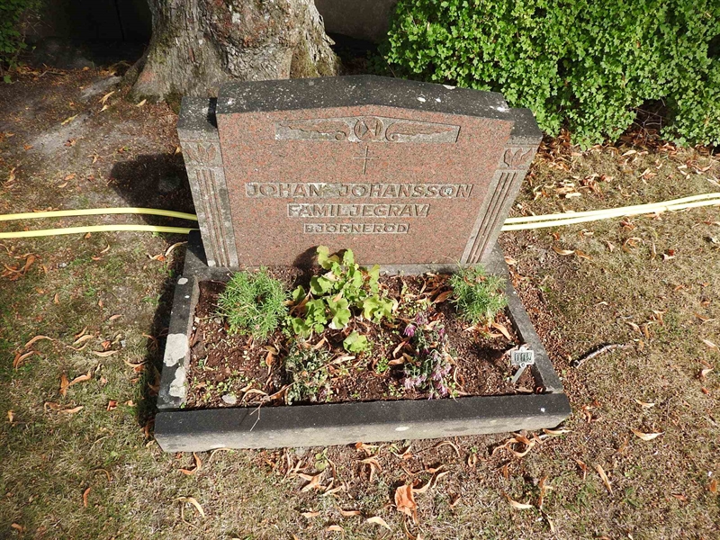 Hautatunnus: BRO 21     5