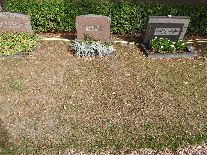 Hautatunnus: BRO 21     8