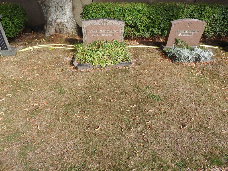 Hautatunnus: BRO 21     9