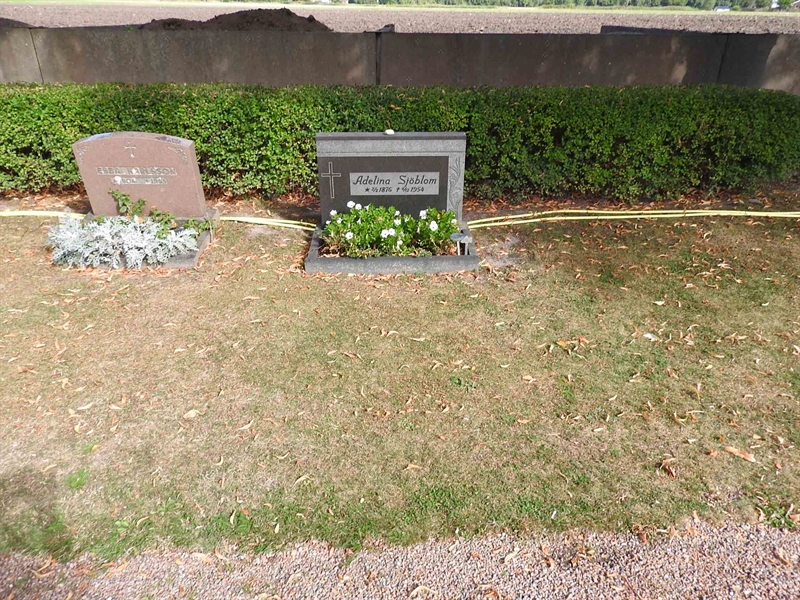 Hautatunnus: BRO 21     7