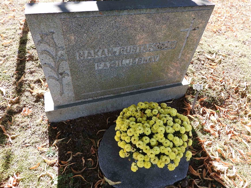 Gravnummer: BRO 24    16