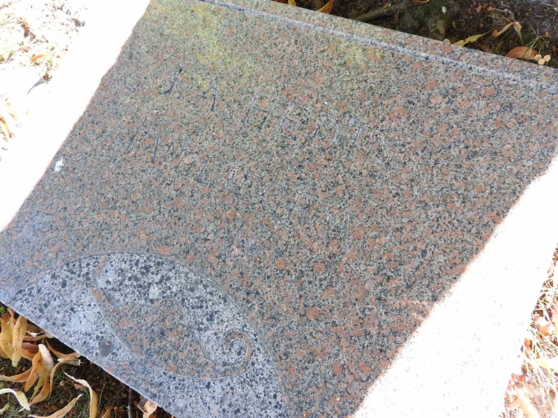 Hautatunnus: BRO 24     8