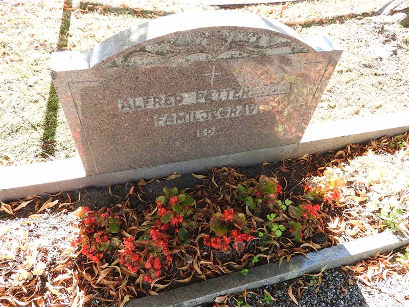 Hautatunnus: BRO 24    29