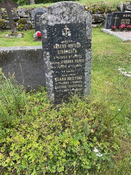 Hautatunnus: N 4 4   655