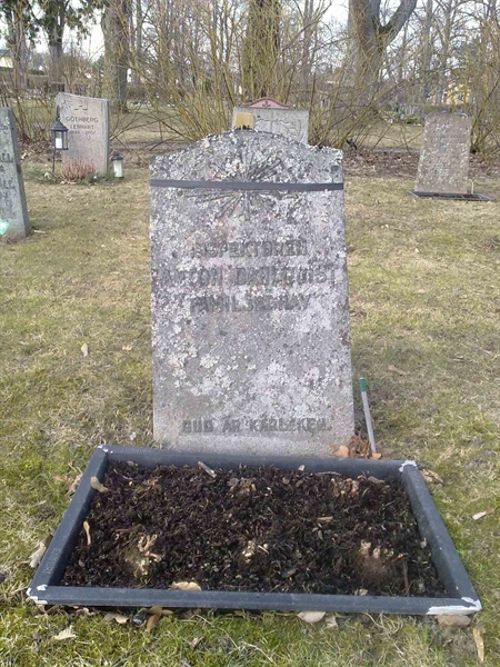 Grave number: NO 07    38