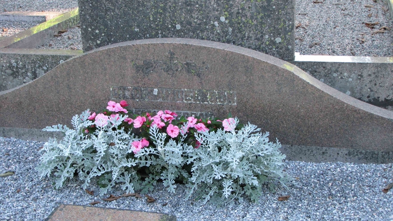 Grave number: HG TRAST   816, 817