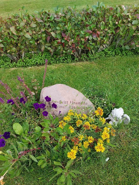 Grave number: BN 19  119