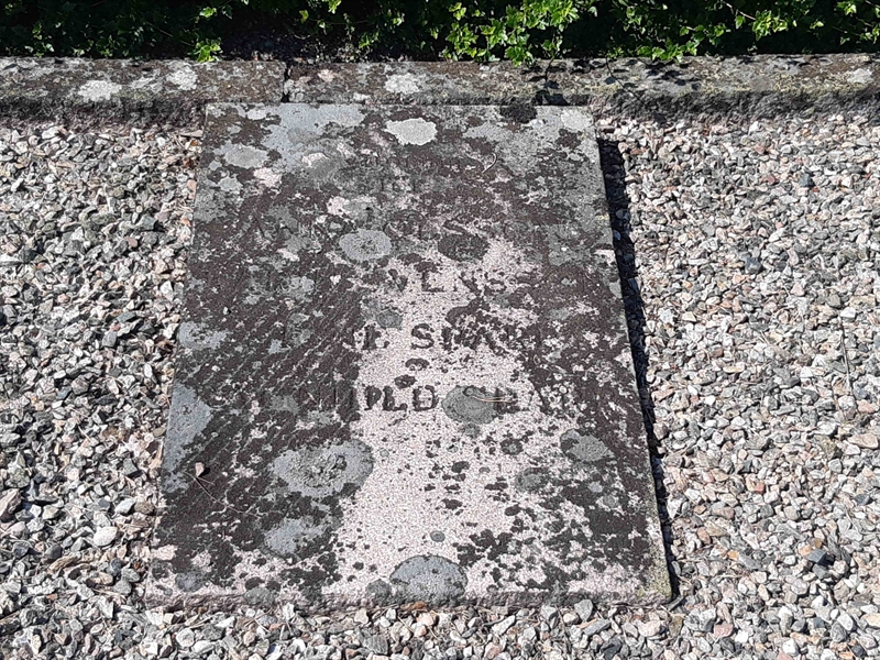 Grave number: VI V:A   262