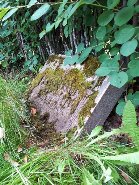 Gravnummer: GK F 5   410