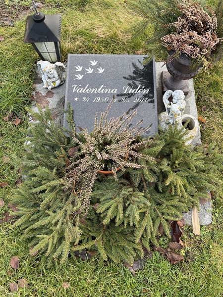 Grave number: Ärt 96 36 118+119