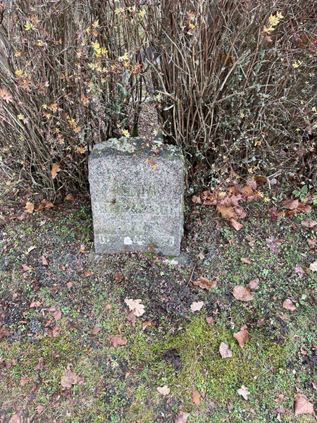 Grave number: VV 3   468