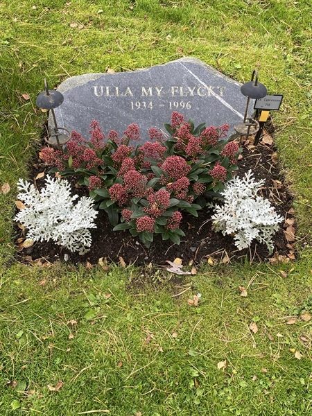 Hautatunnus: 2 C   718